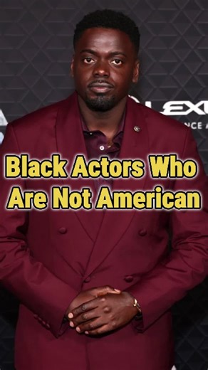 Explore the Latest Celebrity Trends in Pop Culture