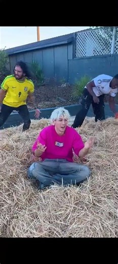 Can You Find the Needle in the Haystack?! 😳 #ImpossibleChallenge #NeedleInAHaystack #TryNotToBlink