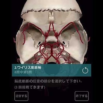 「解剖学試験」ウィリスの動脈輪 "Anatomy Exam," Willis's arterial ring.