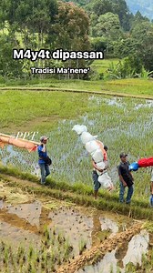 Meoli Tarruk yake Toraya 🫶🙌 | Putra Putri Toraja
