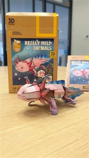 I build a cute Axolotl!#3dpuzzle #diy #axolotl #gift #natgeo #viral #cute #animals #buildcraft #fpy