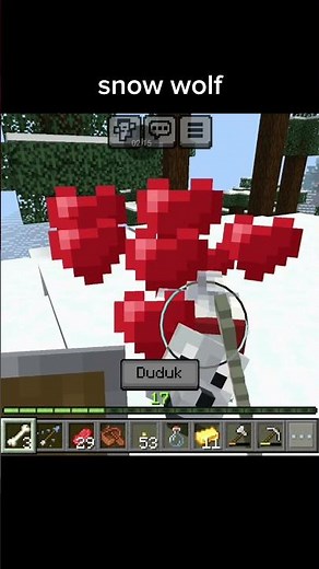 tame a snow wolf with two bones in Minecraft
