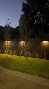 Wow! Lighting can truly transform a space, and my new lights from @litehouse.lighting are a game-changer! These solar-powered lights are incredibly easy to install and automatically switch on at dusk. They even have a motion sensor option, but I love the warm ambiance they create throughout the evening. They’re simply too stunning to keep off! If you live it as much as I do here’s a plug - DANIELLE15 (15% off, you can thank me later 😉) | Danielle Steynvaardt