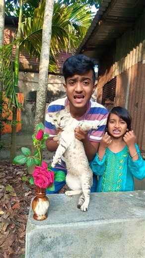 #আমার কুত্তা মইরা গেছে গো😂🤣#viral shorts😂🤣#new trending#...@amiyasvlog4242