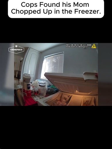 Murder Mystery: Mom Found Chopped Up in Freezer