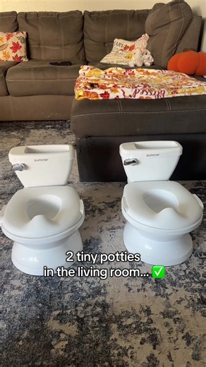 Potty Training Twins: Tips for Success