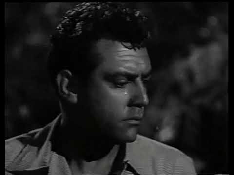 Bride of the Gorilla