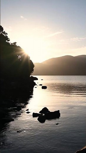 Walking the Stewart Island/Rakiura Track #stewartisland #rakiuratrack #kiwi
