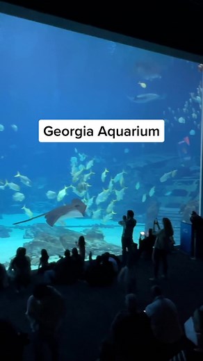 Have you ever been or would you like to visit this aquarium? 🦈 Full video guide to help you save time & money on our YouTube channel 👀 #atlanta #georgiaaquarium #whaleshark #mantaray #atlantageorgia #thingstodoinatlanta #aquarium
