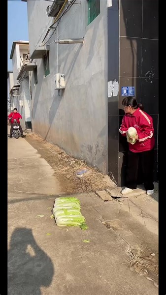 2.6K views · 11 reactions | Rural comedy Rural funny short drama Greedy and small cheap suffer losses what routine is the | Family Funny | Facebook