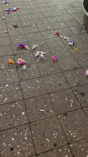 Harry’s darlings were here @officialharry #hslot #harrystyles #hslotnyc @thegarden #hslot2022 #hsloveontour