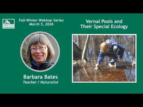 Vernal Pools and Their Special Ecology
