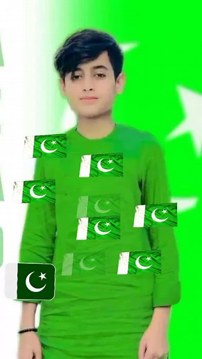 Understanding Pakistani Flag Symbolism