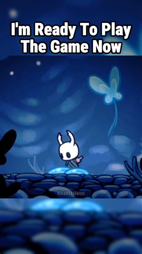 I'm Ready For Hollow Knight Now