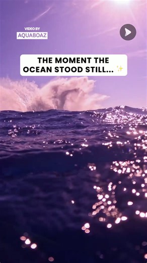 What happens when a giant whale breaches right next to you