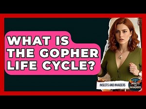What Is The Gopher Life Cycle? - Insects and Invaders