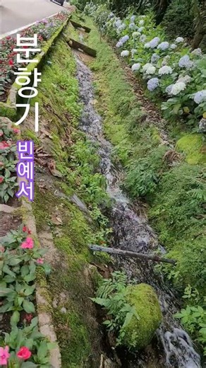 시냇물#여름날의 꽃#분향기#빈예서