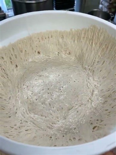The leaven today is poppin off! #fy #fyp #foryoupage #dough... #Shorts #dantheebaker