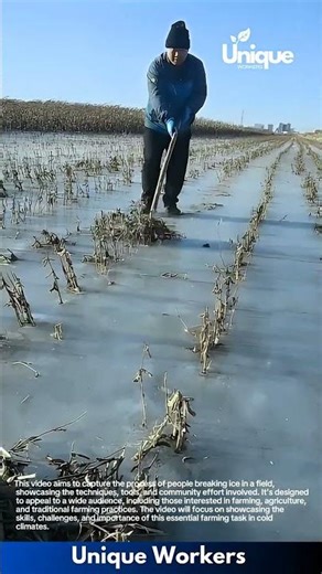 Breaking ice in a field: people breaking ice in a field