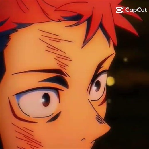 the last one sonic in a loop