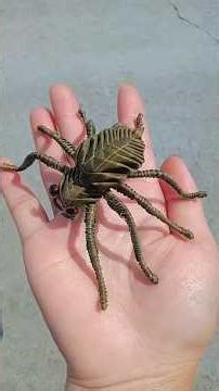 Handmade Spider Tutorial #shortsviral #craft #shorts #tutorial