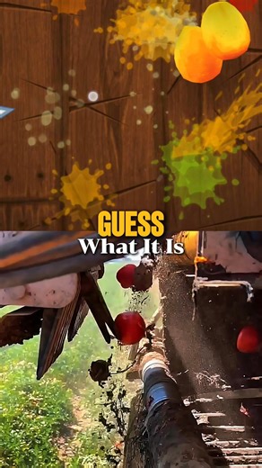 Xinjiang harvest season: this tomato sorting machine is basically Fruit Ninja in real life! How many combos do you think it can pull off? 🍅⚡️ Cr. @荒野拾遗录 #Xinjiangtomato #tomato #farming #farmlife #fruitninja #ninja #gaming #nostalgia #foryou #fyp | 華夏focus