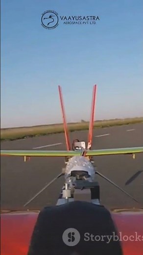 "Mechanical Birds: The Rise of the Ornithopter!"