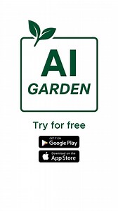 61 shares | Unleash your inner designer with AI Garden. Explore creative garden layouts, decorations, and plants in seconds. See your space like never before. | AI Garden Design: Landscape AI | Facebook