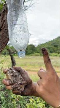 Survival Skills: Mom shows how to make soap and water