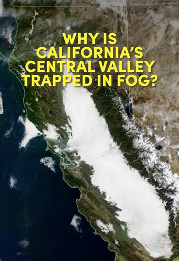 Driving Tips for California's Tule Fog