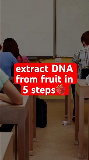 How To Extract DNA From Fruit - GCSE Biology