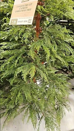 WALMART CHRISTMAS 2024 MY TEXAS HOUSE CHRISTMAS TREE #WALMART #christmas