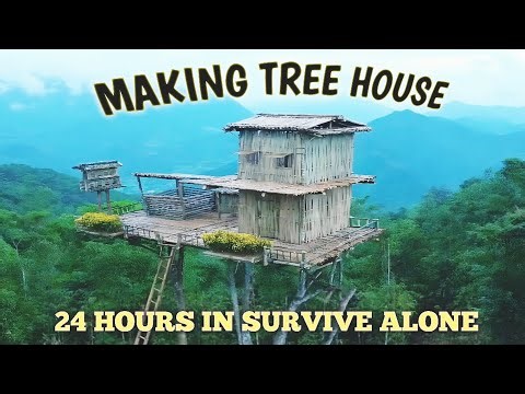 24 Hours survive in the rainforest alone | Making Tree House | #survival #bushcraft