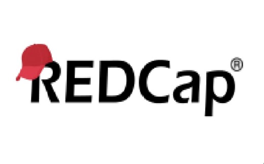 Ry2an教你REDCap中SQL动态查询问题的使用方法
