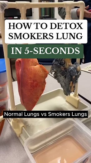 Detox Your Lungs Naturally with Mullein and Chlorophyll