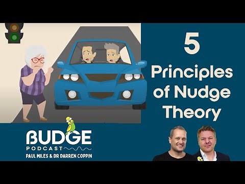 The 5 Principles Of Nudge Theory | BUDGE Podcast