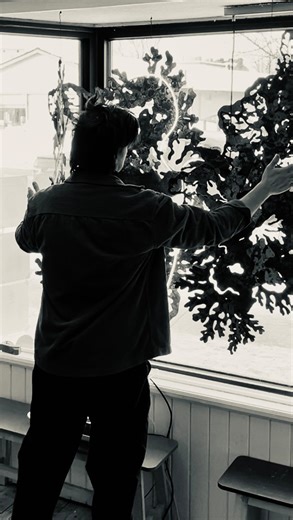 Garrett Gilbart on Instagram: "This is some footage I took after setting up my audio installation in @takecoverbooks for their Highly Likely festival. I have extended the antannae of my theremini into the steel lichen sculptures suspended in the windows. With a bit of recalibration this extends the range of the theremin to cover the front of the store. With one sculpture tied to the pitch antennae and the other to the volume. Typically for performances I’d run this through additional effects ped