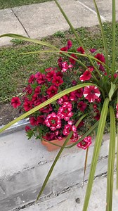 16K views · 807 reactions | Flower Tour before the storms roll in!  | The Farm Stand | Facebook