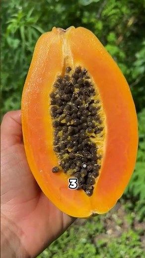 Healthiest Fruits You Need to Try!