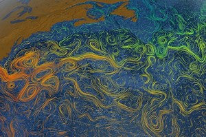 Is the Gulf Stream in Danger of Collapse?