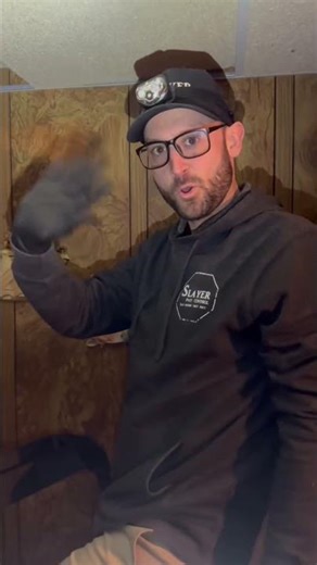 How Do You Get Rid of Mice 100%? | Mouse Control in Appleton WI