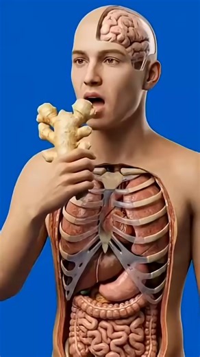 What Happens to Your Body if You Eat Ginger for 30 Days | Food As Medicine