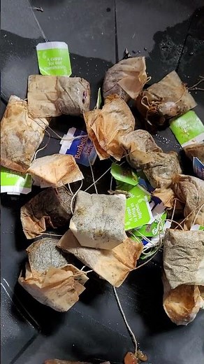 Tea Bagging My Compost!