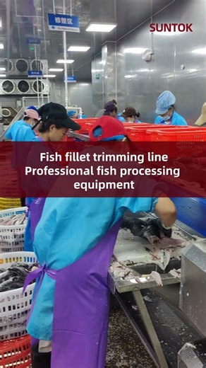 FIsh fillet trimming line for snakehead