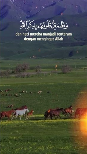 QS Ar Rad | Beautiful Quran Recitation | Surah Ar-Ra'd Tilawat