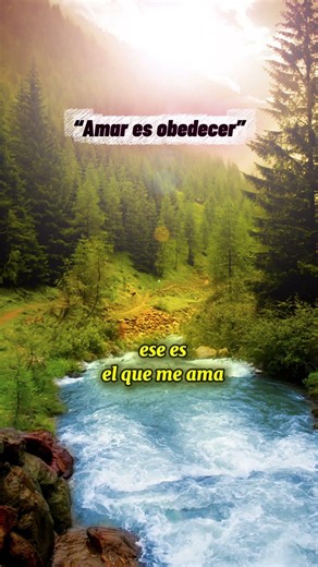 La manifestación del amor a Dios #biblia #Dios #fe