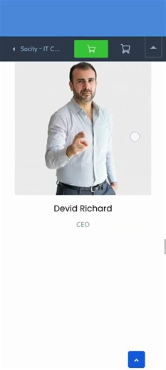 Professional IT Company Website Design | UI/UX & Development