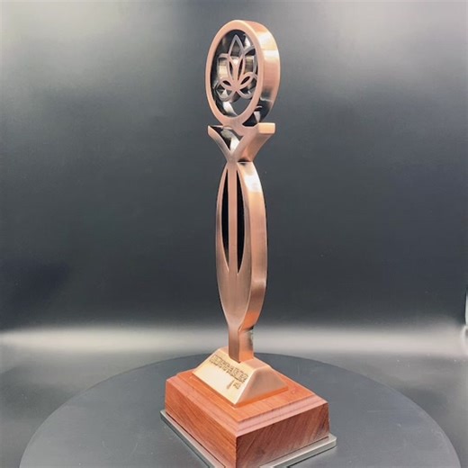 Wholesale Custom Made Souvenir Gold Silver Unique Stand Trophy Award Manufacturer Custom Metal Trophy#Trophy #costomtrophy #trophymakers #costomawards