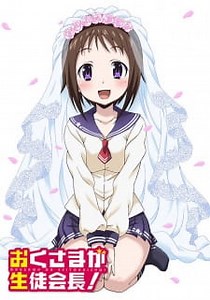 Watch Okusama ga Seitokaichou!