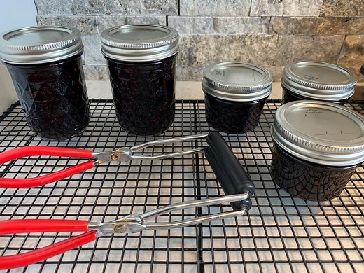 How to Make Honeyberry Jam Without Added Pectin - Home Baked Joy
